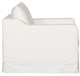 MS150-CH_Inlet Optic White side